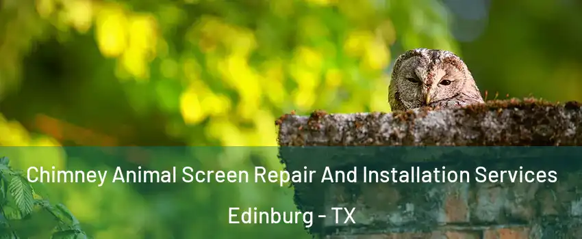  Chimney Animal Screen Repair And Installation Services Edinburg - TX