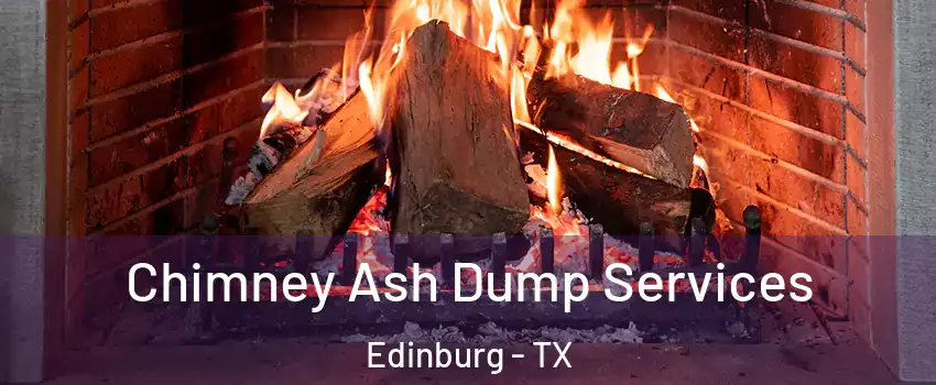  Chimney Ash Dump Services Edinburg - TX