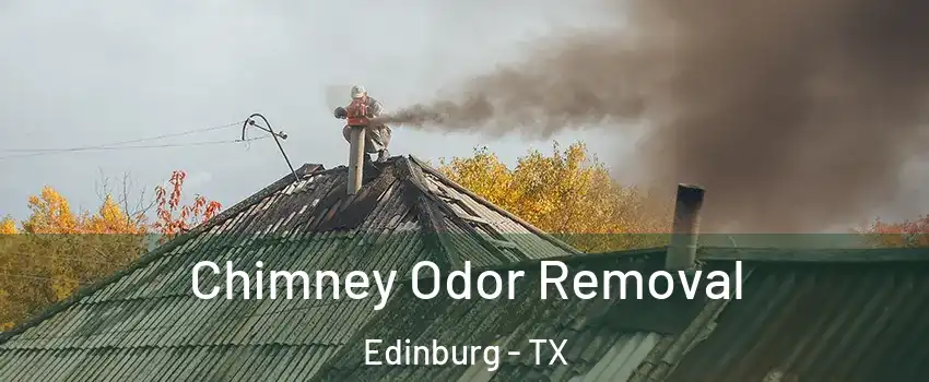  Chimney Odor Removal Edinburg - TX