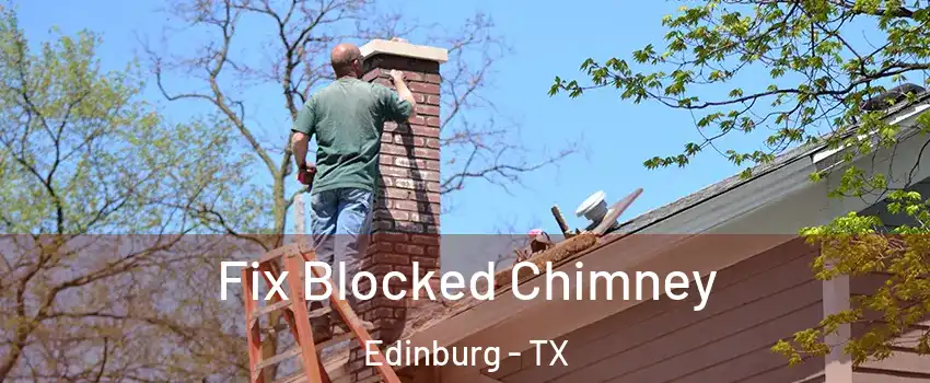  Fix Blocked Chimney Edinburg - TX