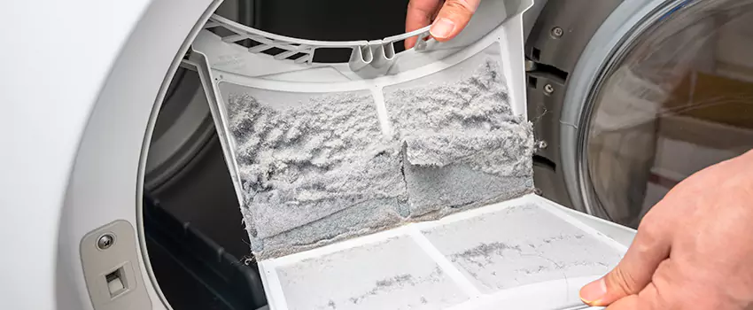 Best Dryer Lint Removal Company in Edinburg, Texas