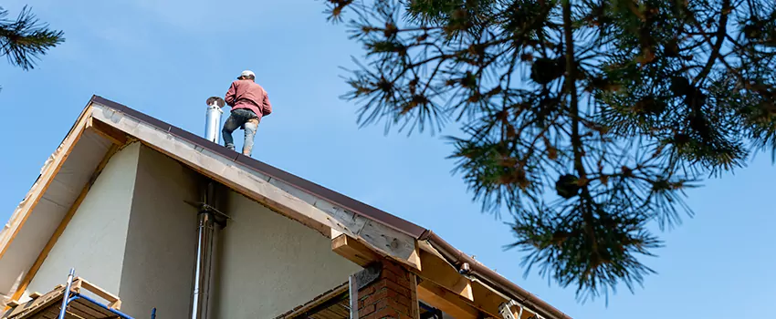 Birds Removal Contractors from Chimney in Edinburg, TX