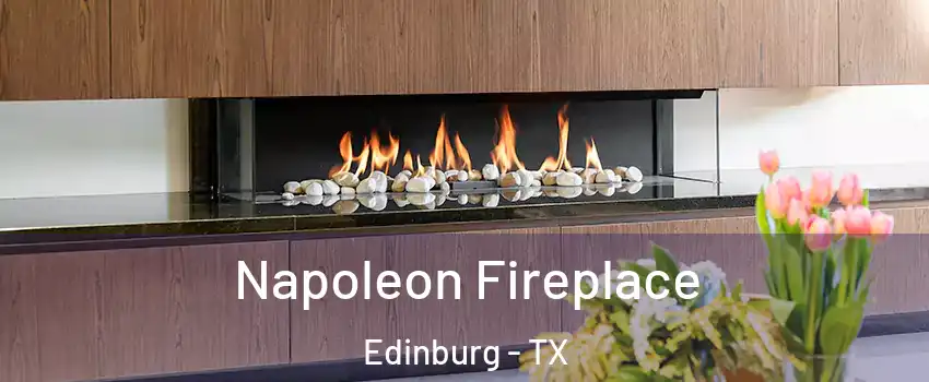  Napoleon Fireplace Edinburg - TX